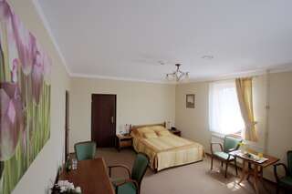 Курортные отели Resort Jura Крочице Стандартный двухместный номер с 1 кроватью-10
