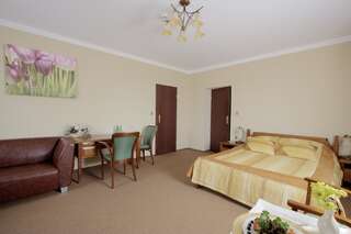 Курортные отели Resort Jura Крочице Стандартный двухместный номер с 1 кроватью-12